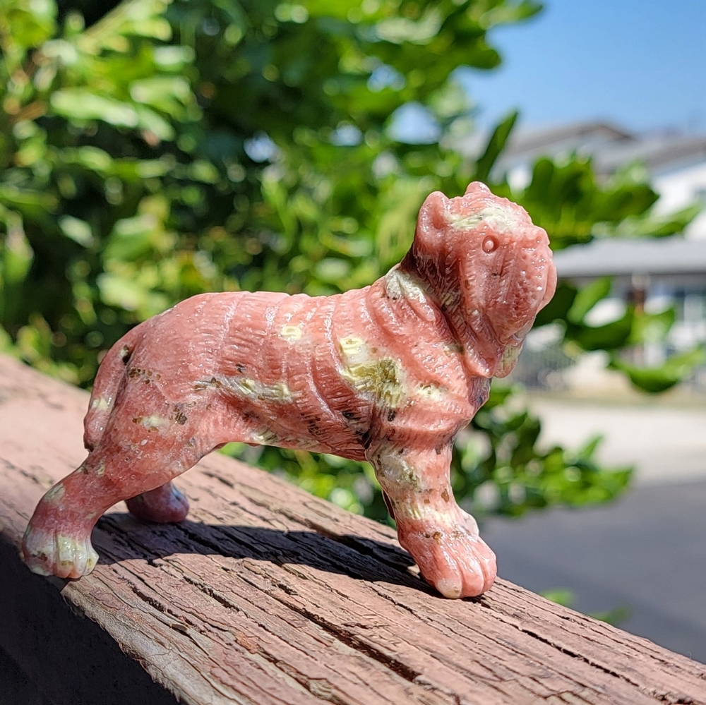 NEW 3.625" x 3" PLUM JASPER MASTIFF - Picture 7 of 10